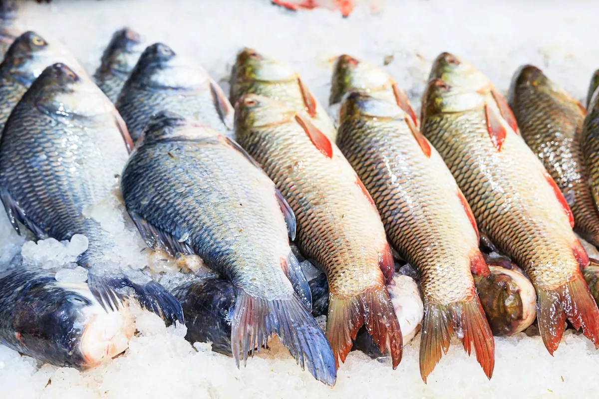 Ideal Destination for Your Seafood Needs
