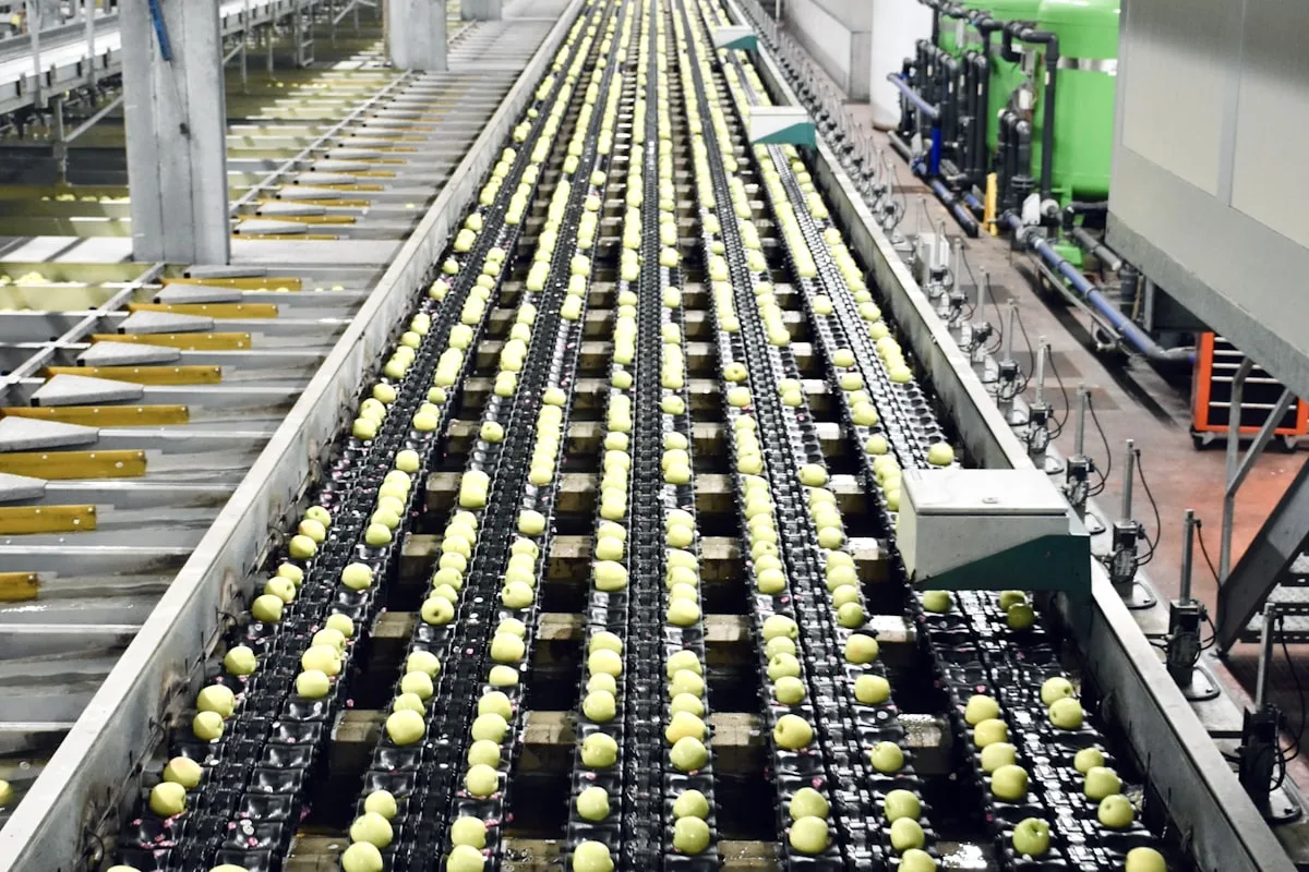 Food Safety & Quality-Oriented Supply