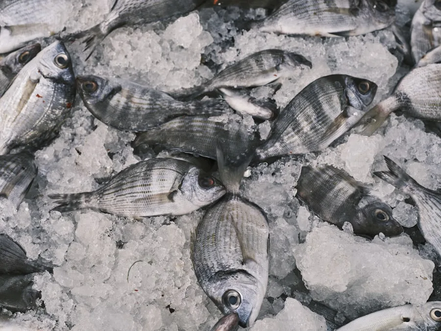 Frozen Seafood — frozen seafood